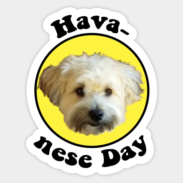 Havanese Day Sticker by matthew_greer